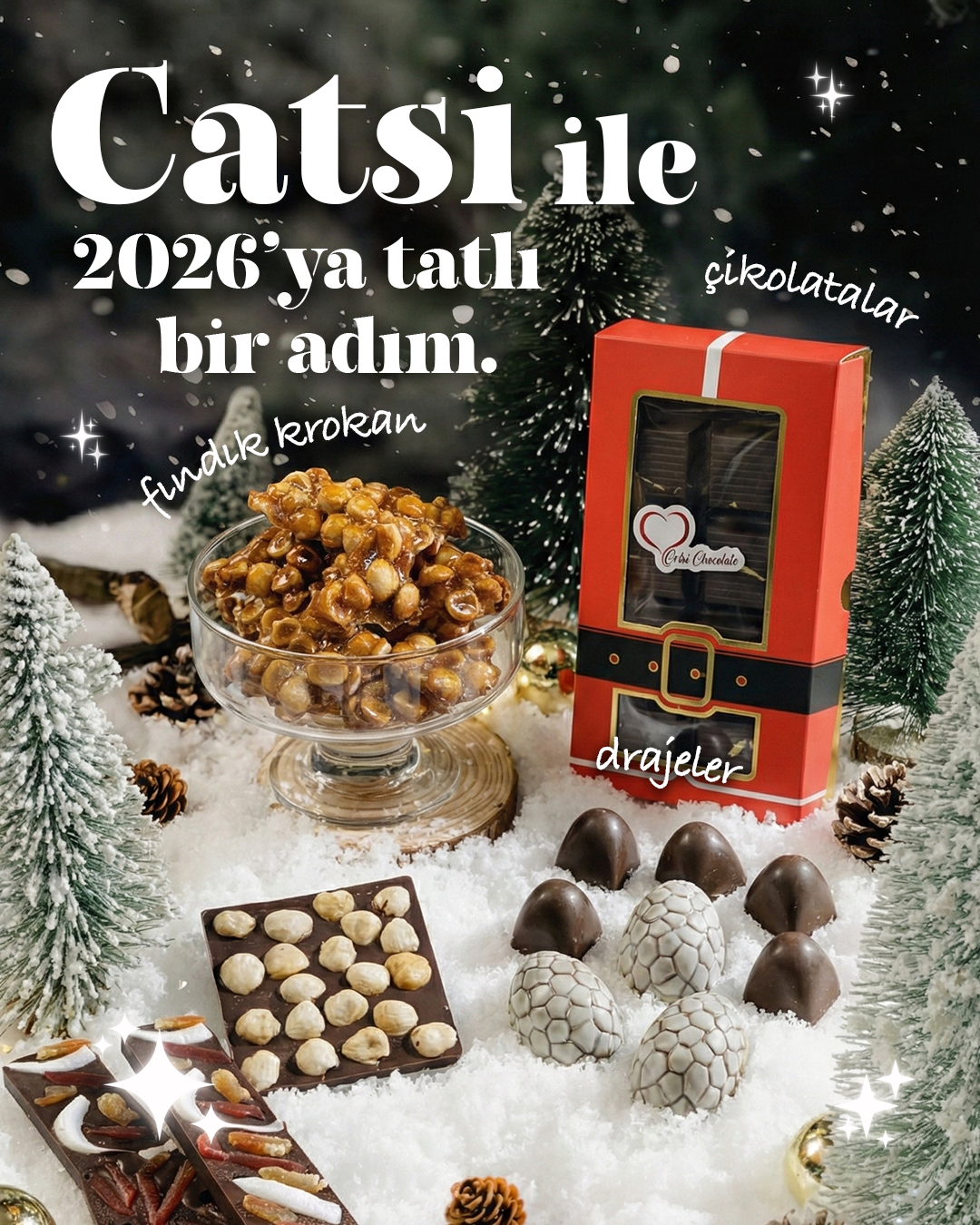 Catsi ile 2026'ya Tatlı Bir Adım