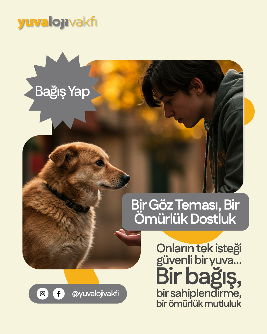 Bir Göz Teması, Bir Ömürlük Dostluk — Bağış Yap