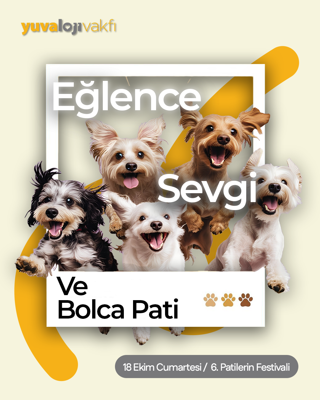 Eğlence, Sevgi ve Bolca Pati — 6. Patilerin Festivali