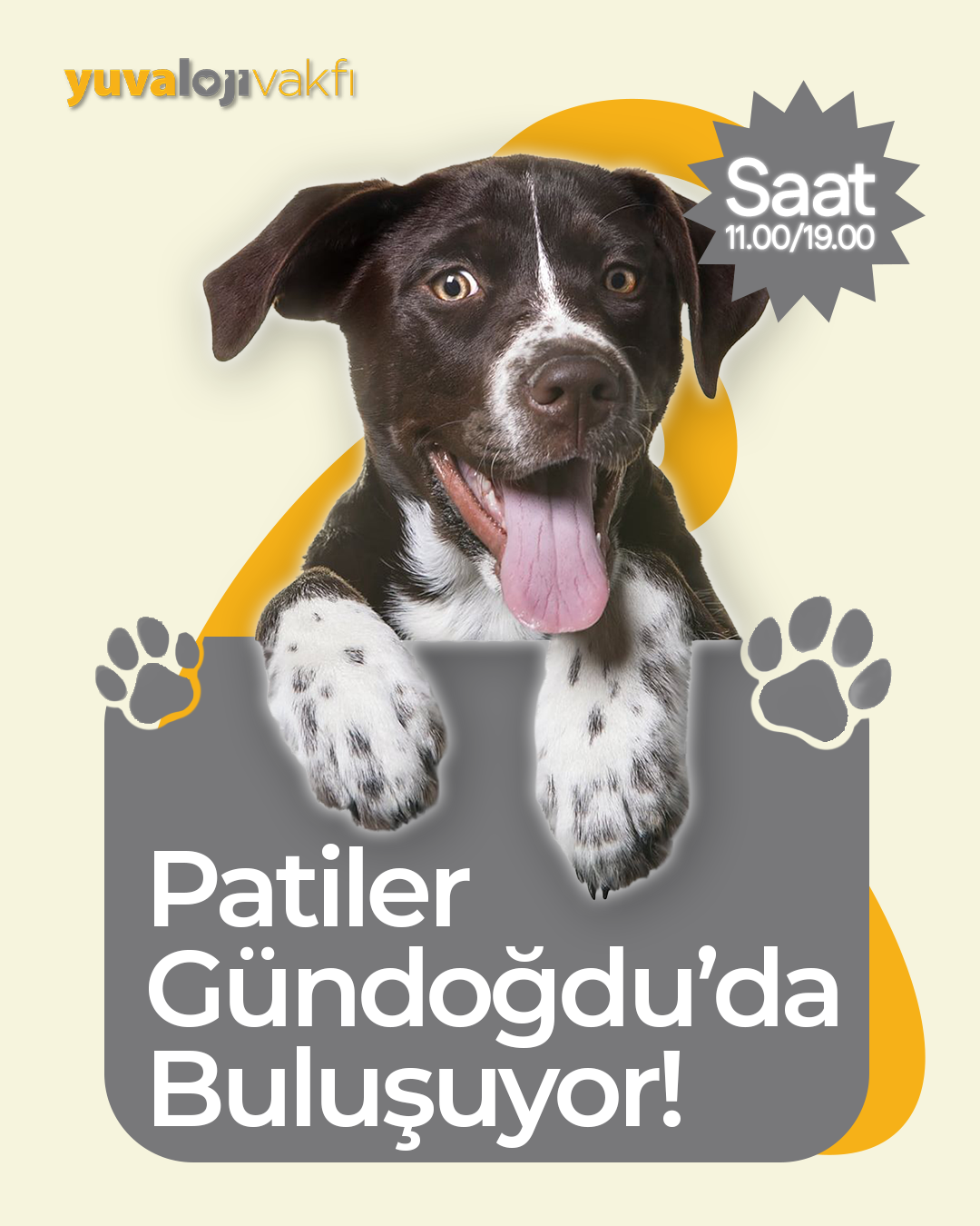 Patiler Gündoğdu'da Buluşuyor!