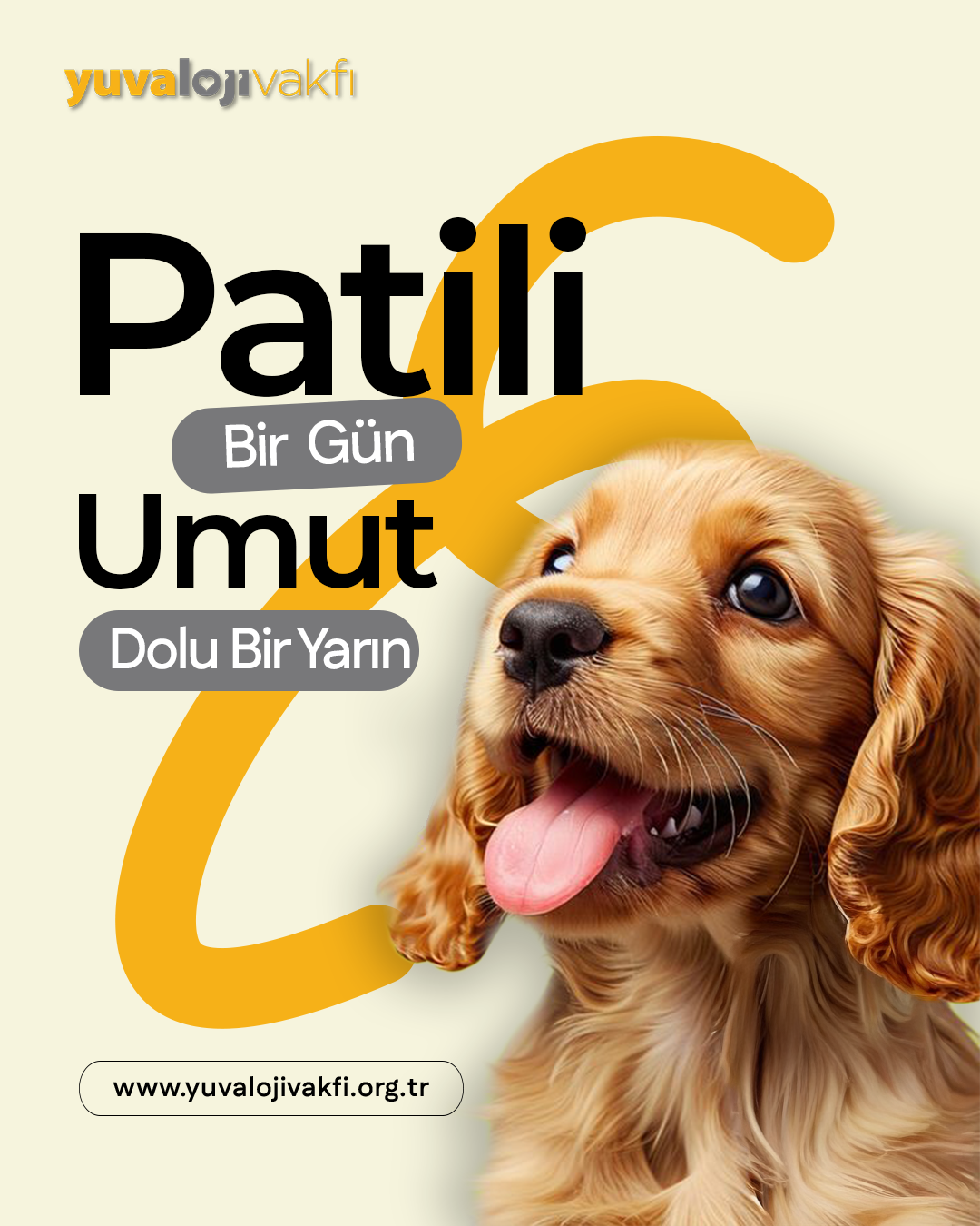 Patili Bir Gün, Umut Dolu Bir Yarın