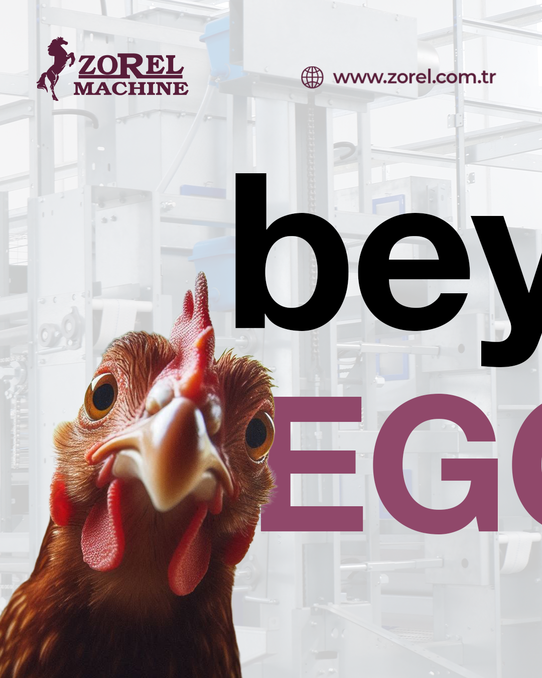 Beyond Egg — Tavuk Konsepti