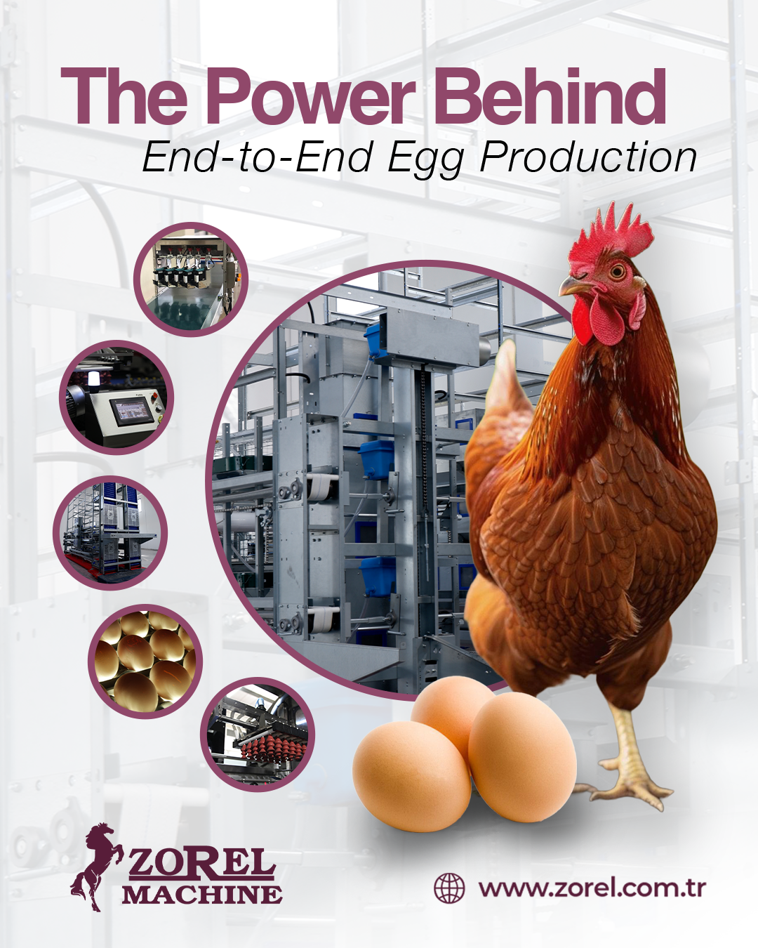 The Power Behind End-to-End Egg Production