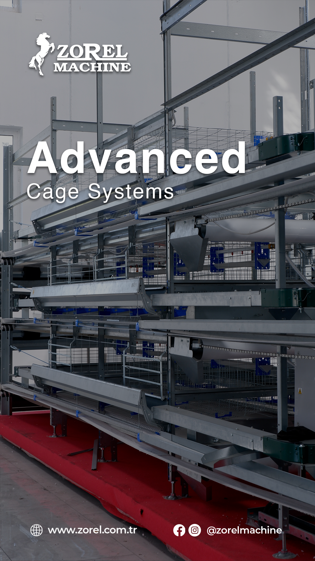 Advanced Cage Systems